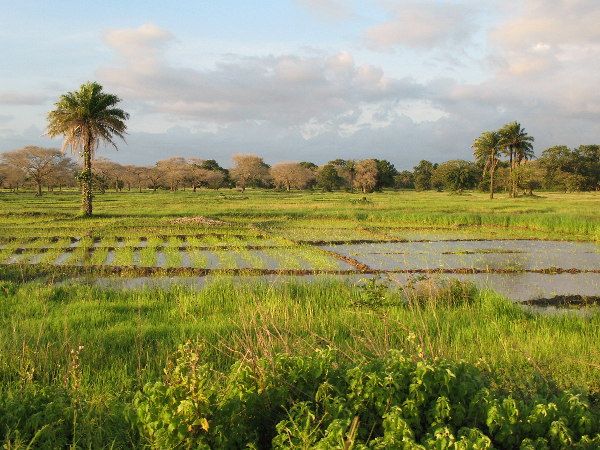 Casamance Sénégal