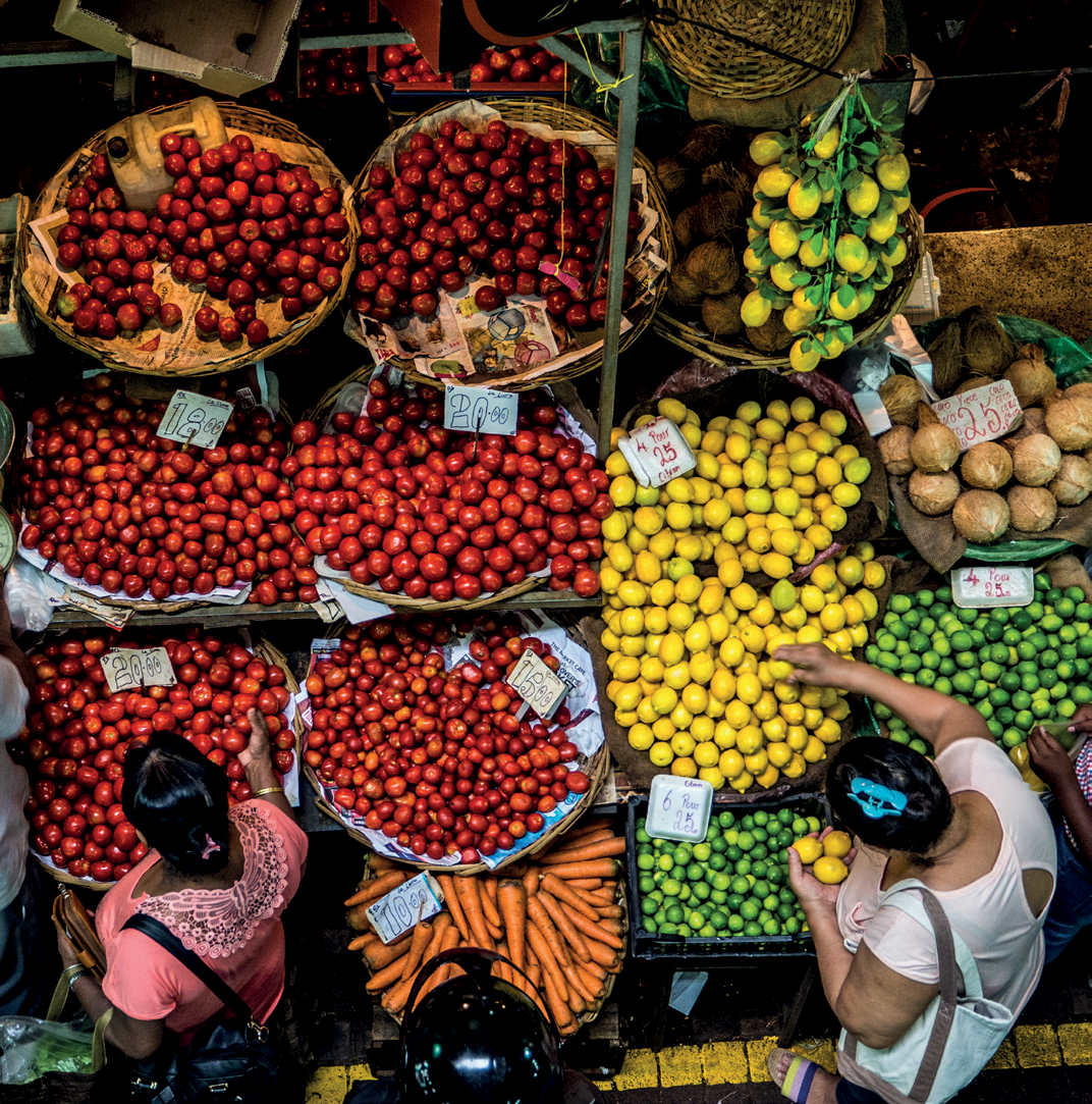 Nature luxuriante Maurice