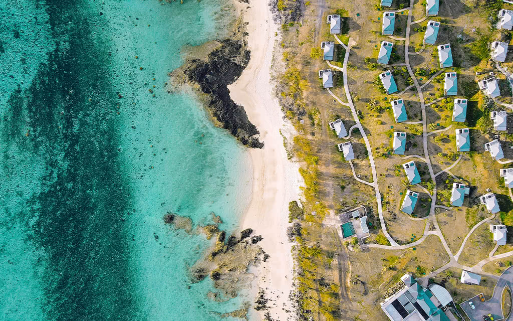 Constance Tekoma Rodrigues