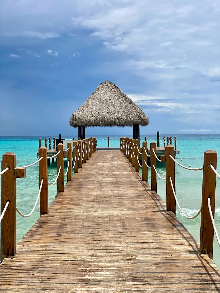 Kappa Club Dreams Dominicus