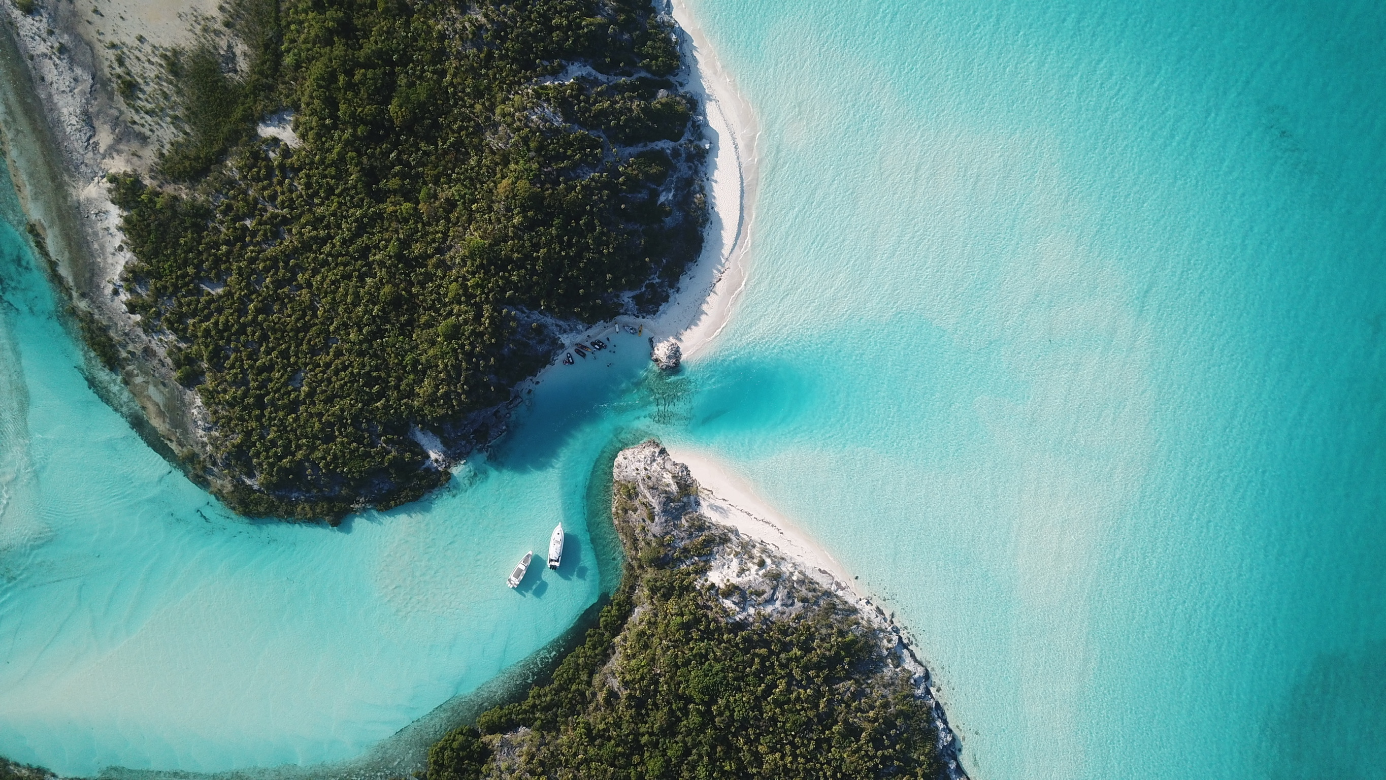 Bahamian Secrets