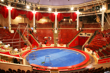 Spectacles de fin d'année offerts par l'APAS-BTP : cirque et cinéma
