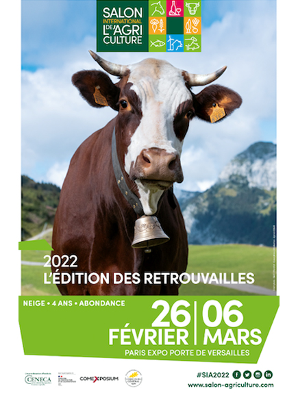 Sélection loisirs APAS-BTP