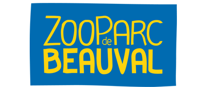 Service Groupes APAS-BTP