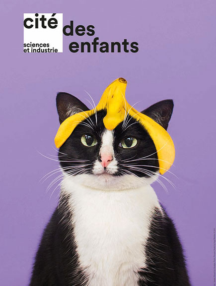 APAS-BTP : les immanquables top 3 loisirs - Cité des enfants