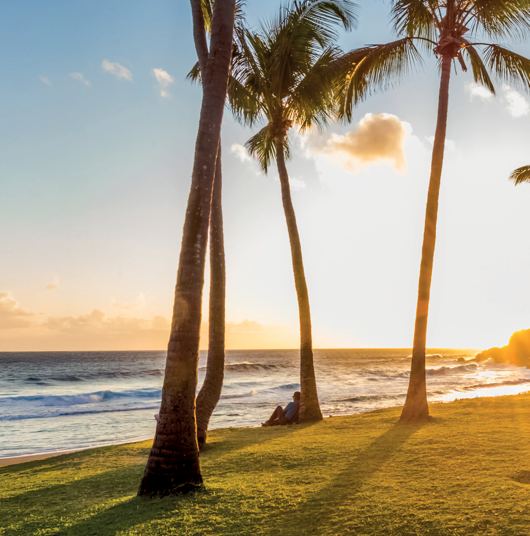 Cascade de La R&eacute;union