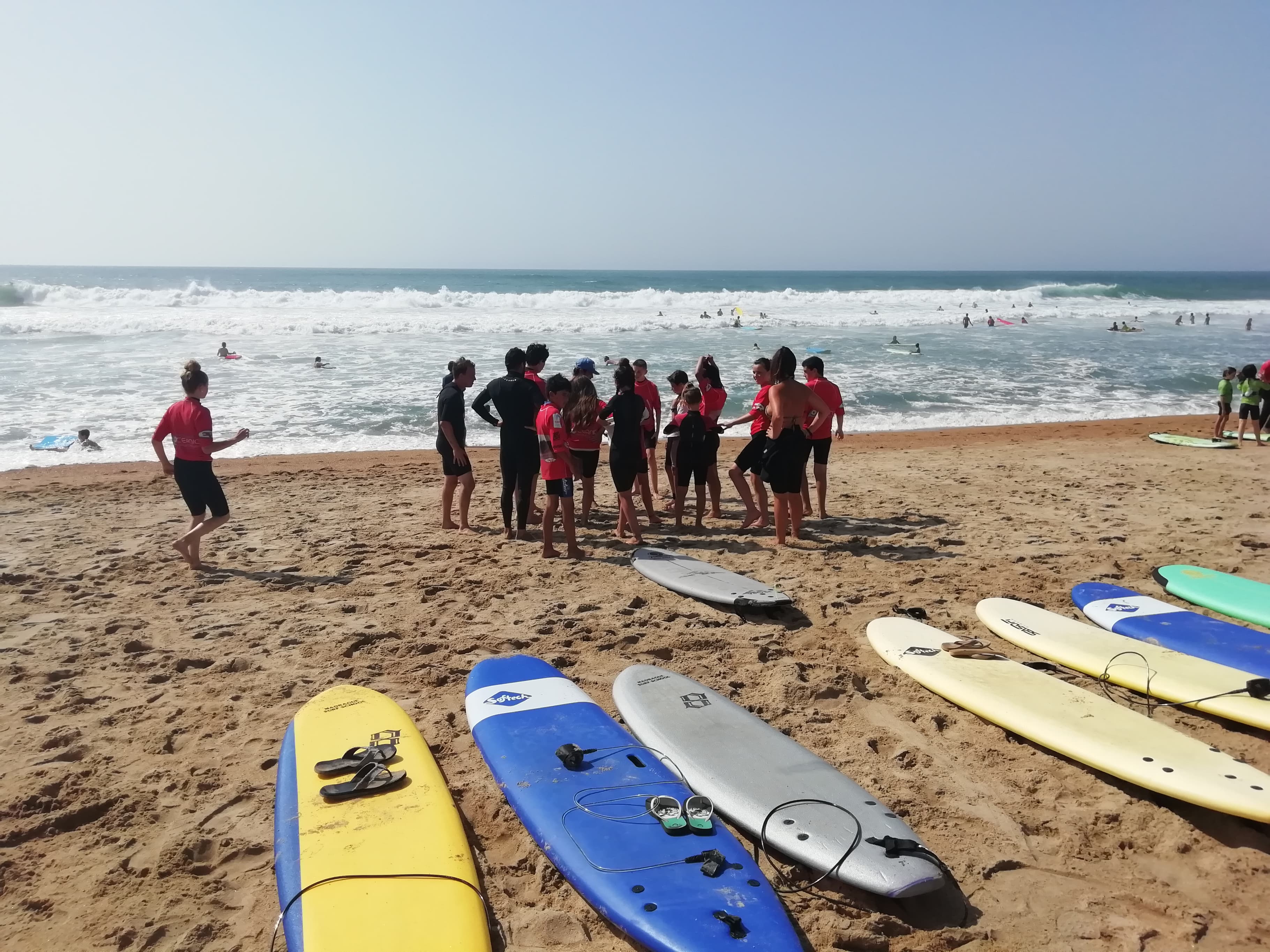surf