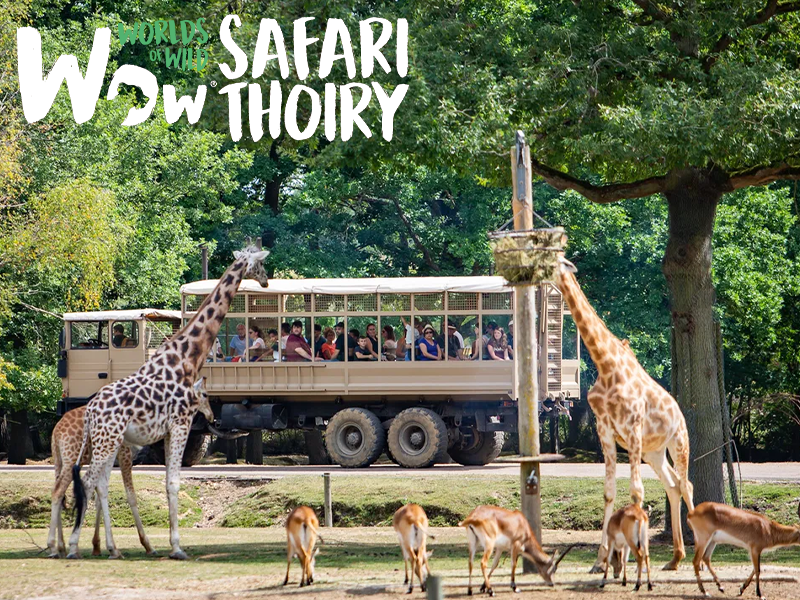 Wow Safari Thoiry- APAS-BTP