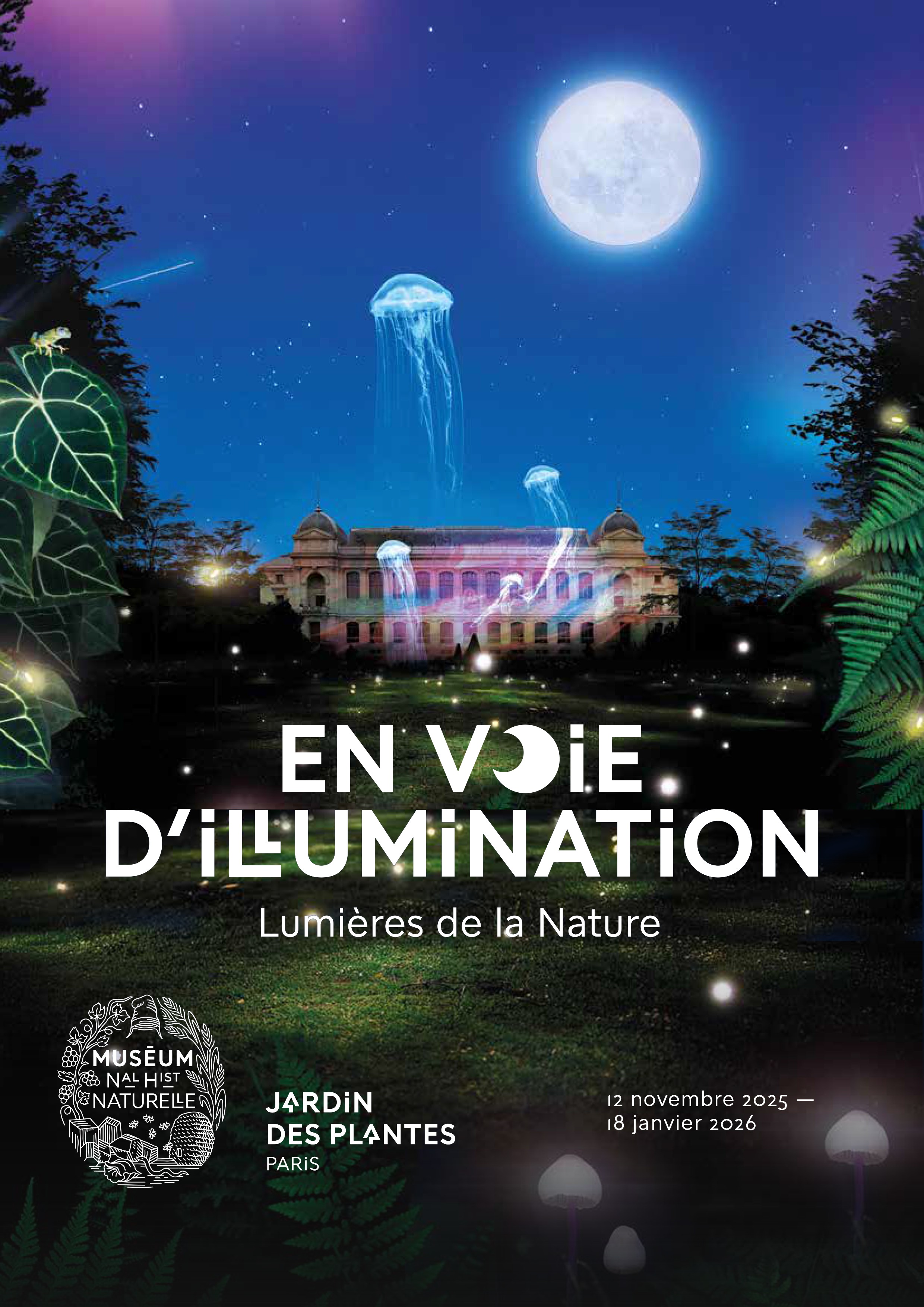 En voie d'illumination  - APAS-BTP