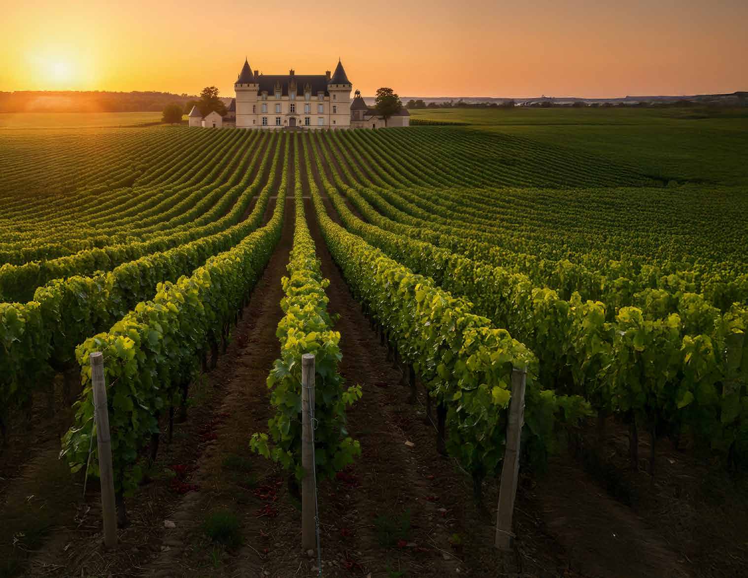 Grand Est et Bourgogne