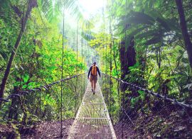 Circuit Regard sur le Costa Rica, entre volcans et cascades