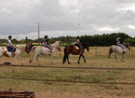 100% Équitation - Printemps 6/17 ans