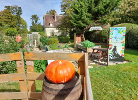 Cirque et chevaux - été/automne - 6/16 ans